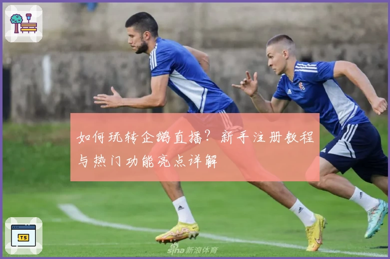 如何玩转企鹅直播？新手注册教程与热门功能亮点详解