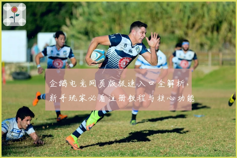 企鹅电竞网页版极速入口全解析,新手玩家必看注册教程与核心功能介绍
