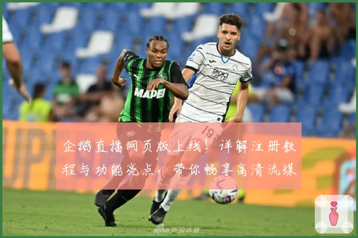 企鹅直播网页版上线！详解注册教程与功能亮点，带你畅享高清流媒体观赛体验