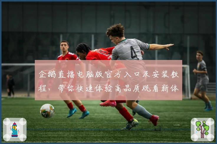 企鹅直播电脑版官方入口及安装教程，带你快速体验高品质观看新体验