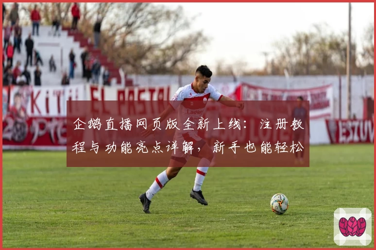 企鹅直播网页版全新上线:注册教程与功能亮点详解,新手也能轻松上手