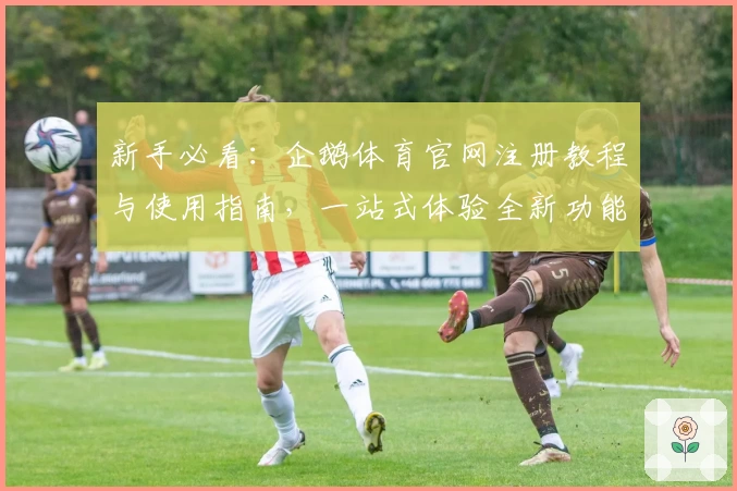 新手必看：企鹅体育官网注册教程与使用指南，一站式体验全新功能亮点