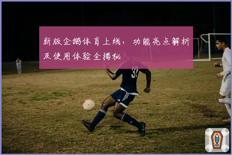 新版企鹅体育上线，功能亮点解析及使用体验全揭秘