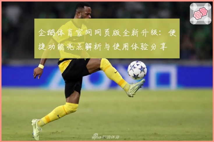 企鹅体育官网网页版全新升级：便捷功能亮点解析与使用体验分享