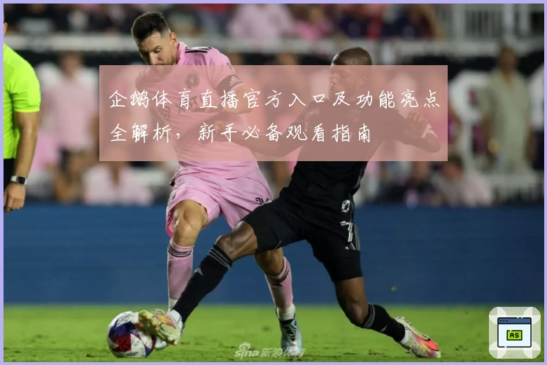 企鹅体育直播官方入口及功能亮点全解析，新手必备观看指南