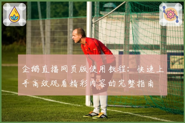 企鹅直播网页版使用教程：快速上手高效观看精彩内容的完整指南