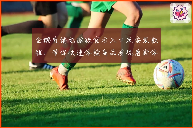 企鹅直播电脑版官方入口及安装教程，带你快速体验高品质观看新体验