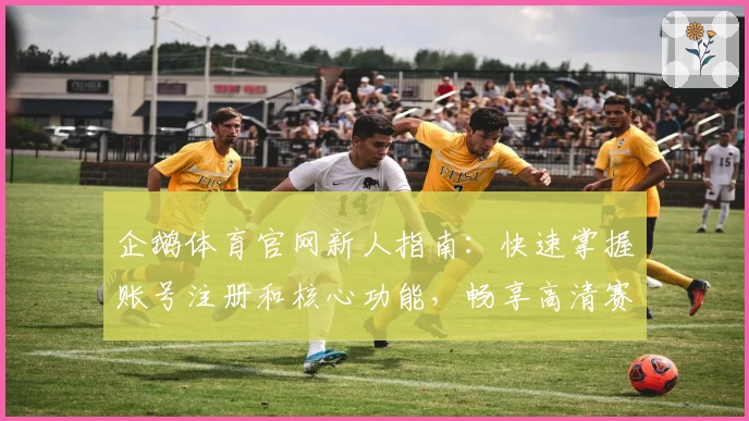 企鹅体育官网新人指南：快速掌握账号注册和核心功能，畅享高清赛事观看体验